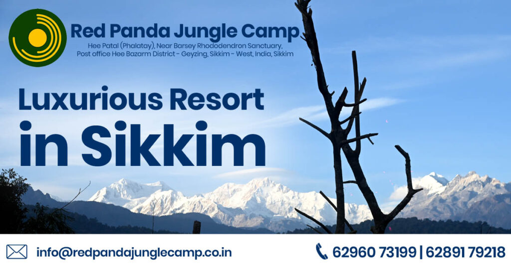 luxurious-resort-in-sikkim