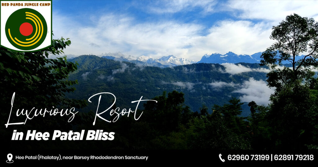 luxurious-resort-in-hee-patal